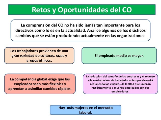 COMPORTAMIENTO ORGANIZACIONAL
