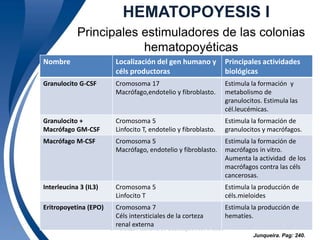 HEMATOPOYESIS I 
Principales estimuladores de las colonias 
hematopoyéticas 
Nombre Localización del gen humano y 
céls productoras 
Universidad 14 Autónoma de Guadalajara A.C. © 2009 
Principales actividades 
biológicas 
Granulocito G-CSF Cromosoma 17 
Macrófago,endotelio y fibroblasto. 
Estimula la formación y 
metabolismo de 
granulocitos. Estimula las 
cél.leucémicas. 
Granulocito + 
Macrófago GM-CSF 
Cromosoma 5 
Linfocito T, endotelio y fibroblasto. 
Estimula la formación de 
granulocitos y macrófagos. 
Macrófago M-CSF Cromosoma 5 
Macrófago, endotelio y fibroblasto. 
Estimula la formación de 
macrófagos in vitro. 
Aumenta la actividad de los 
macrófagos contra las céls 
cancerosas. 
Interleucina 3 (IL3) Cromosoma 5 
Linfocito T 
Estimula la producción de 
céls.mieloides 
Eritropoyetina (EPO) Cromosoma 7 
Céls intersticiales de la corteza 
renal externa 
Estimula la producción de 
hematíes. 
Junqueira. Pag: 240. 
 