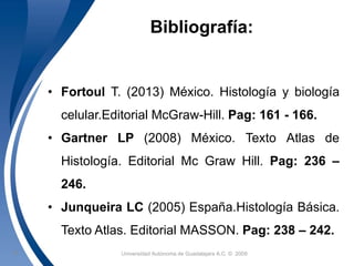 Bibliografía: 
• Fortoul T. (2013) México. Histología y biología 
celular.Editorial McGraw-Hill. Pag: 161 - 166. 
• Gartner LP (2008) México. Texto Atlas de 
Histología. Editorial Mc Graw Hill. Pag: 236 – 
246. 
• Junqueira LC (2005) España.Histología Básica. 
Texto Atlas. Editorial MASSON. Pag: 238 – 242. 
Universidad 22 Autónoma de Guadalajara A.C. © 2009 
 