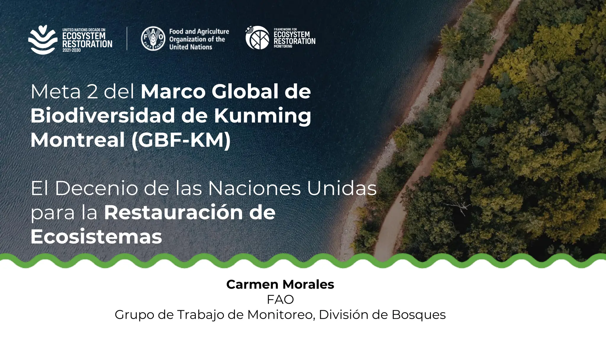 thumbnail of  El Decenio de las Naciones Unidas para la Restauración de Ecosistemas