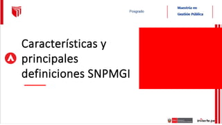 Características y
principales
definiciones SNPMGI
 