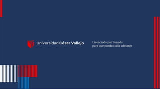 (Sesión_2)CDV_PIP_Maestría_2022_01.pdf