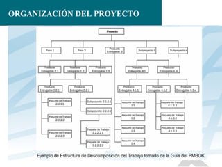 ORGANIZACIÓN DEL PROYECTO

 