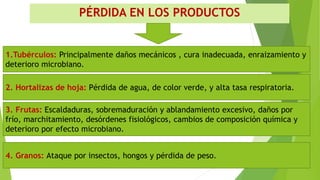 PÉRDIDA EN LOS PRODUCTOS
1.Tubérculos: Principalmente daños mecánicos , cura inadecuada, enraizamiento y
deterioro microbiano.
2. Hortalizas de hoja: Pérdida de agua, de color verde, y alta tasa respiratoria.
3. Frutas: Escaldaduras, sobremaduración y ablandamiento excesivo, daños por
frío, marchitamiento, desórdenes fisiológicos, cambios de composición química y
deterioro por efecto microbiano.
4. Granos: Ataque por insectos, hongos y pérdida de peso.
 