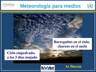 Meteorología para medios
Ac floccus
Cielo empedrado,
a los 3 días mojado
Borreguitos en el cielo,
charcos en el suelo
 