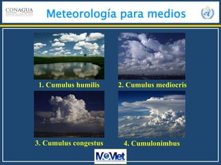 Meteorología para medios
1. Cumulus humilis 2. Cumulus mediocris
3. Cumulus congestus 4. Cumulonimbus
 