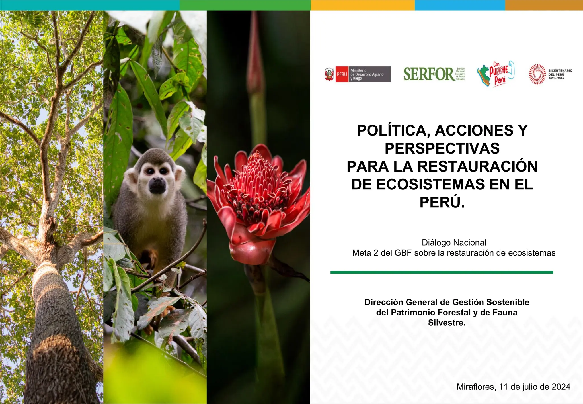 thumbnail of  Políticas, acciones y perspectivas para la restauración de ecosistemas en el Perú