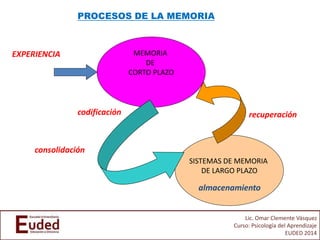 Lic. Omar Clemente Vásquez
Curso: Psicología del Aprendizaje
EUDED 2014
MEMORIA
DE
CORTO PLAZO
SISTEMAS DE MEMORIA
DE LARGO PLAZO
EXPERIENCIA
almacenamiento
PROCESOS DE LA MEMORIA
consolidación
recuperacióncodificación
 