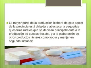  De las organizaciones de
productores de queso
identificadas, la Asociación
de Productores Agrícolas
Autónomos de Cebadas...