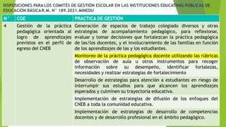 N° CGE PRACTICA DE GESTIÓN
4 Gestión de la práctica
pedagógica orientada al
logro de aprendizajes
previstos en el perfil de
egreso del CNEB
Generación de espacios de trabajo colegiado diversos y otras
estrategias de acompañamiento pedagógico, para reflexionar,
evaluar y tomar decisiones que fortalezcan la práctica pedagógica
de las/los docentes, y el involucramiento de las familias en función
de los aprendizajes de las y los estudiantes.
Monitoreo de la práctica pedagógica docente utilizando las rúbricas
de observación de aula u otros instrumentos para recoger
información sobre su desempeño, identificar fortalezas,
necesidades y realizar estrategias de fortalecimiento
Desarrollo de estrategias para atención a estudiantes en riesgo de
interrumpir sus estudios para que alcancen los aprendizajes
esperados y culminen su trayectoria educativa.
Implementación de estrategias de difusión de los enfoques del
CNEB a toda la comunidad educativa.
Implementación de estrategias de desarrollo de competencias
docentes y de desarrollo profesional en el ámbito pedagógico.
DISPOSICIONES PARA LOS COMITÉS DE GESTIÓN ESCOLAR EN LAS INSTITUCIONES EDUCATIVAS PÚBLICAS DE
EDUCACIÓN BÁSICA R.M. N° 189.2021.MINEDU
 