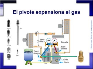 © Derechos de autor: Gildardo Yañez www.gildardoyanez.com 
El pivote expansiona el gas 
 