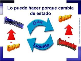 © Derechos de autor: Gildardo Yañez www.gildardoyanez.com 
Lo puede hacer porque cambia 
de estado 
 