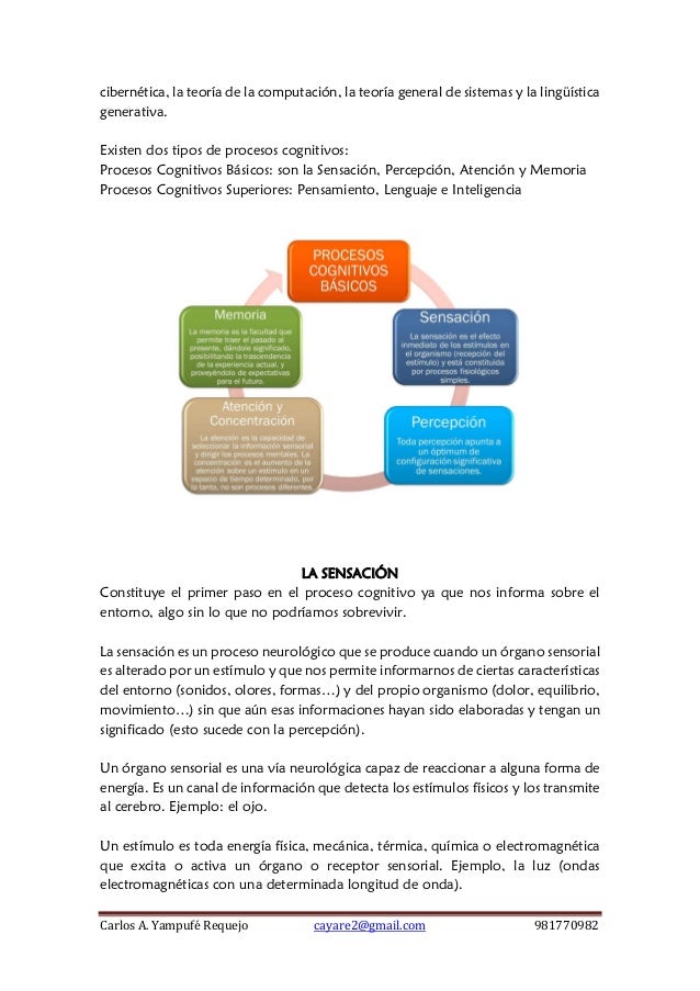 Sesión 4 procesos cognitivos básicos y superiores