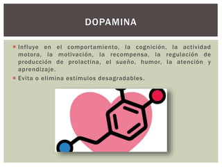  Influye en el comportamiento, la cognición, la actividad
motora, la motivación, la recompensa, la regulación de
producción de prolactina, el sueño, humor, la atención y
aprendizaje.
 Evita o elimina estímulos desagradables.
DOPAMINA
 