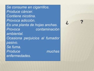 Se consume en cigarrillos.
Produce cáncer.
Contiene nicotina.
Provoca adicción.
Es una planta de hojas anchas.
Provoca contaminación
ambiental.
Ocasiona perjuicios al fumador
pasivo.
Se fuma.
Produce muchas
enfermedades.
¿ ?
 
