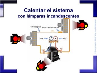©Derechosdeautor:GildardoYañezwww.gildardoyanez.tips
Calentar el sistema
con lámparas incandescentes
 