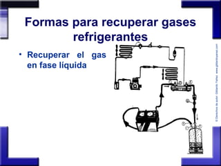©Derechosdeautor:GildardoYañezwww.gildardoyanez.tips
Formas para recuperar gases
refrigerantes
• Recuperar el gas
en fase líquida
 