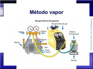©Derechosdeautor:GildardoYañezwww.gildardoyanez.tips
Método vapor
 