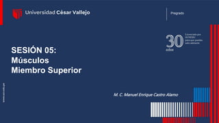 Pregrado
SESIÓN 05:
Músculos
Miembro Superior
M. C. Manuel Enrique Castro Alamo
 
