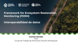 thumbnail of  Framework for Ecosystem Restoration Monitoring (FERM) : Interoperabilidad de datos