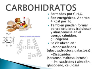   Formados por C,H,O.
  Son energéticos. Aportan
   4 Kcal por 1g.
  También pueden formar
   partes celulares (celulosa)
   y almacenarse en el
   cuerpo (almidón,
   glucógeno).
  Se clasifican en :
   -Monosacáridos
(glucosa,fructosa,galactosa)
   -Disacáridos
(sacarosa,maltosa,lactosa)
   - Polisacáridos ( almidón,
glucógeno, celulosa)
 