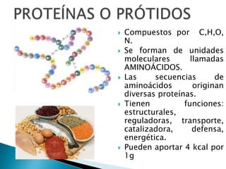    Compuestos por C,H,O,
    N.
   Se forman de unidades
    moleculares       llamadas
    AMINOÁCIDOS.
   Las     secuencias       de
    aminoácidos        originan
    diversas proteínas.
   Tienen          funciones:
    estructurales,
    reguladoras, transporte,
    catalizadora,      defensa,
    energética.
   Pueden aportar 4 kcal por
    1g
 