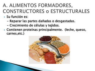    Su función es:
    - Reparar las partes dañadas o desgastadas.
    - Crecimiento de células y tejidos.
   Contienen proteínas principalmente. (leche, queso,
    carnes,etc.)
 
