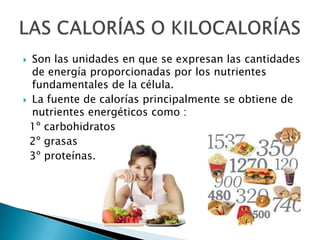  Son las unidades en que se expresan las cantidades
  de energía proporcionadas por los nutrientes
  fundamentales de la célula.
 La fuente de calorías principalmente se obtiene de
  nutrientes energéticos como :
 1º carbohidratos
 2º grasas
 3º proteínas.
 