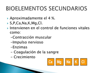    Aproximadamente el 4 %.
   S,P,Ca,Na,K,Mg,Cl.
   Intervienen en el control de funciones vitales
    como:
     -Contracción muscular
     -Impulso nervioso
     -Enzimas
     - Coagulación de la sangre
     - Crecimiento
 