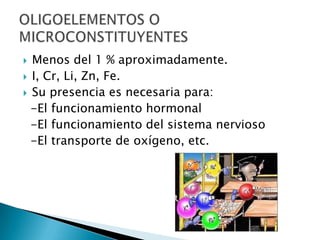  Menos del 1 % aproximadamente.
 I, Cr, Li, Zn, Fe.
 Su presencia es necesaria para:
  -El funcionamiento hormonal
  -El funcionamiento del sistema nervioso
  -El transporte de oxígeno, etc.
 