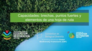 thumbnail of  Capacidades: brechas, puntos fuertes y elementos de una hoja de ruta