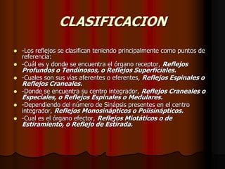 CLASIFICACION







-Los reflejos se clasifican teniendo principalmente como puntos de
referencia:
-Cuál es y donde se encuentra el órgano receptor, Reflejos

Profundos o Tendinosos, o Reflejos Superficiales.
-Cuales son sus vías aferentes o eferentes, Reflejos Espinales o
Reflejos Craneales.
-Donde se encuentra su centro integrador, Reflejos Craneales o
Especiales, o Reflejos Espinales o Medulares.
-Dependiendo del número de Sinápsis presentes en el centro
integrador, Reflejos Monosinápticos o Polisinápticos.
-Cual es el órgano efector, Reflejos Miotáticos o de

Estiramiento, o Reflejo de Estirada.

 