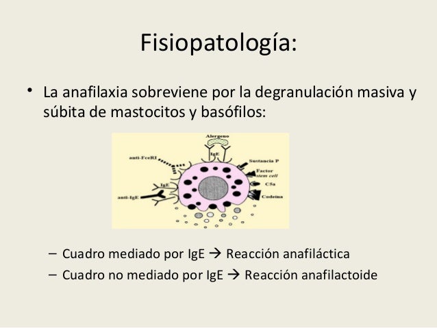 Anafilaxia (por Ana Ruiz)