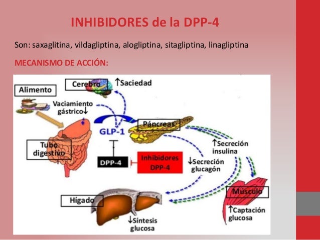 Sesión antidiabéticos orales Sesión antidiabéticos orales