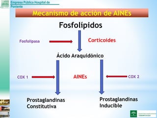 Empresa Pública Hospital de
Poniente
Fosfolípidos
Mecanismo de acción de AINEs
Fosfolipasa
Ácido Araquidónico
Prostaglandinas
Constitutiva
Prostaglandinas
Inducible
COX 1 COX 2
Corticoides
AINEs
 
