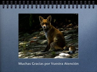 Muchas Gracias por Vuestra Atención
 