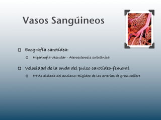 Vasos Sangúineos

Ecografía carotídea:
   Hipertrofia vascular - Aterosclerosis subclínica

Velocidad de la onda del pulso carotídeo-femoral
   HTAs aislada del anciano: Rigidez de las arterias de gran calibre
 