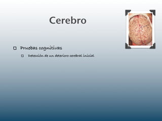 Cerebro

Pruebas cognitivas
   Detección de un deterioro cerebral inicial
 