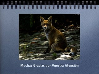 Muchas Gracias por Vuestra Atención
 