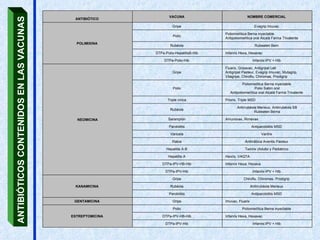 ANTIBIÓTICOS CONTENIDOS EN LAS VACUNAS ANTIBIÓTICO  VACUNA  NOMBRE COMERCIAL  POLIMIXINA   Gripe  Evagrip Imuvac  Polio  Poliomielítica Berna inyectable  Antipoliomielítica oral Alcalá Farma Trivalente Rubéola  Rubeaten Bern  DTPa-Polio-HepatitisB-Hib  Infanrix Hexa, Hexavac DTPa-Polio-Hib  Infanrix-IPV + Hib  NEOMICINA Gripe  Fluarix, Gripavac, Antigripal Leti  Antigripal Pasteur, Evagrip Imuvac, Mutagrip, Vitagripe, Chiroflu, Chiromas, Prodigrip Polio  Poliomielítica Berna inyectable  Polio Sabin oral Antipoliomielítica oral Alcalá Farma Trivalente  Triple vírica  Priorix, Triple MSD Rubéola  Antirrubéola Merieux, Antirrubéola SB Rubeaten Berna Sarampión  Amunovax, Rimevax  Parotiditis  Antiparotiditis MSD  Varicela  Varilrix  Rabia  Antirrábica Aventis Pasteur  Hepatitis A-B  Twinrix (Adulto y Pediátrico  Hepatitis A  Havrix, VAQTA DTPa-IPV-HB-Hib  Infanrix Hexa, Hexava DTPa-IPV-Hib  Infanrix-IPV + Hib  KANAMICINA  Gripe  Chiroflu, Chiromas, Prodigrip  Rubéola  Antirrubéola Merieux  Parotiditis  Antiparotiditis MSD  GENTAMICINA   Gripe  Imuvac, Fluarix ESTREPTOMICINA   Polio  Poliomielítica Berna inyectable  DTPa-IPV-HB-Hib  Infanrix Hexa, Hexavac DTPa-IPV-Hib  Infanrix-IPV + Hib  