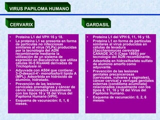 Proteína L1 del VPH 16 y 18. La proteína L1 se presenta en forma de partículas no infecciosas similares al virus (VLPs) producidas por la tecnología del ADN recombinante mediante la utilización de un sistema de expresión en Baculovirus que utiliza células Hi-5 Rix4446 derivadas de  Trichoplusia ni . Adyuvada con AS04 que contiene: 3- O -desacil-4’- monofosforil lípido A (MPL). Adsorbida en hidróxido de aluminio, hidratado.  Prevención de las lesiones cervicales premalignas y cáncer de cérvix relacionados causalmente con los tipos 16 y 18 del Virus del Papiloma Humano (VPH). Esquema de vacunación: 0, 1, 6 meses. Proteína L1 del VPH 6, 11, 16 y 18. Proteína L1 en forma de partículas similares al virus producidas en células de levadura ( Saccharomyces cerevisiae  CANADE 3C-5 (Cepa 1895)) por tecnología del ADN recombinante.  Adsorbida en hidroxifosfato sulfato de aluminio amorfo como adyuvante. Prevención de las lesiones genitales precancerosas (cervicales, vulvares y vaginales), cáncer cervical y verrugas genitales externas (condiloma acuminata) relacionados causalmente con los tipos 6, 11, 16 y 18 del Virus del Papiloma Humano. Esquema de vacunación: 0, 2, 6 meses.   VIRUS PAPILOMA HUMANO CERVARIX GARDASIL 