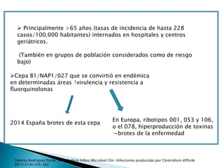 Dolores Rodriguez Pardo, et al. Enferm Infecc Microbiol Clin. Infecciones producidas por Clostridium difficile
2013;31(4):254–263
 Principalmente >65 años (tasas de incidencia de hasta 228
casos/100.000 habitantes) internados en hospitales y centros
geriátricos.
(También en grupos de población considerados como de riesgo
bajo)
Cepa B1/NAP1/027 que se convirtió en endémica
en determinadas áreas ↑virulencia y resistencia a
fluorquinolonas
2014 España brotes de esta cepa
En Europa, ribotipos 001, 053 y 106,
o el 078, hiperproducción de toxinas
→brotes de la enfermedad
 
