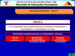 APLICA. Es la capacidad que permite la puesta en práctica de principios o conocimientos en actividades concretas   CAPACIDAD ESPECÍFICA  “APLICA” EJECUCIÓN  / APLICACIÓN  DE LOS PROCESOS  Y ESTRATEGIAS PROCESOS COGNITIVOS DE LA CAPACIDAD “APLICA” IDENTIFICACIÓN  Y SECUENCIACIÓN  DEL PROCESO, PRINCIPIO  O CONCEPTO A APLICAR RECEPCIÓN DE LA INFORMACIÓN 