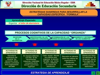 ESTRATEGIAS SUGERIDAS PARA DESARROLLAR LA CAPACIDAD ESPECÍFICA  “FORMULA” DETERMINACIÓN DE  LOS  CRITERIOS DE ORGANIZACIÓN ORDENAMIENTO Y DISTRIBUCIÓN DE LOS  ELEMENTOS ESTRATEGIA DE APRENDIZAJE Escucha la explicación del docente “las secciones, áreas, criterios y procesos de la organización del taller En equipos elaboran  una lista  de las herramientas, máquinas, materiales o proyectos de la sección que le toco organizar Discusión en plenaria sobre los criterios de organización la distribución propuesto por los equipos. Distribución física  los elementos  de la sección  que le toco organizar de acuerdo a los criterios y croquis  elaborados. ACTIVIDAD DE APRENDIZAJE ACTIVIDAD DE APRENDIZAJE ACTIVIDAD DE APRENDIZAJE ACTIVIDAD DE APRENDIZAJE Aprendizaje Esperado: Organiza  el taller de ebanistería PROCESOS COGNITIVOS DE LA CAPACIDAD “ORGANIZA” IDENTIFICACIÒN  DE LOS ELEMENTOS A ORGANIZAR RECEPCIÓN DE LA INFORMACIÓN Cada  equipo  discute los criterios para organizar  la sección del taller  que  se les asigno, y elaboran  un croquis de distribución ACTIVIDAD DE APRENDIZAJE 