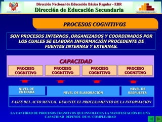 SON PROCESOS INTERNOS ,ORGANIZADOS Y COORDINADOS POR LOS CUALES SE ELABORA INFORMACIÓN PROCEDENTE DE FUENTES INTERNAS Y EXTERNAS. CAPACIDAD PROCESO COGNITIVO PROCESO COGNITIVO PROCESO COGNITIVO PROCESO COGNITIVO NIVEL DE  ENTRADA NIVEL DE ELABORACIÓN NIVEL DE RESPUESTA  LA CANTIDAD DE PROCESOS COGNITVOS QUE INVOLUCRA LA MANIFESTACIÓN DE UNA CAPACIDAD  DEPENDE  DE SU COMPLEJIDAD FASES DEL ACTO MENTAL  DURANTE EL PROCESAMIENTO DE LA INFORMACIÓN PROCESOS COGNITIVOS 