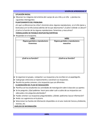 SESIÓN DE APRENDIZAJE 4°
ABRIL
SITUACIÓN INICIAL
 Observen las imágenes de la lámina del cuerpo de una niña y un niño y plantea las
siguientes interrogantes:
PLANTEAMIENTO DEL PROBLEMA
¿En qué se diferencian los niños? ¿Existirán otros órganos reproductores en el niño (pene y
testículos) y en la niña (vulva) además de los que observamos? ¿Cuáles? ¿Dónde se ubican?
¿Cuál es la función de los órganos reproductores femeninos y masculinos?
FORMULACIÓN DE POSIBLES RESPUESTAS/HIPÓTESIS
 Respondan en el esquema.
NIÑA NIÑO
Órganos genitales o reproductores
Femeninos
Órganos genitales o reproductores
masculino
¿Cuál es su función? ¿Cuál es su función?
 Se organizan en grupos, comparten sus respuestas y las escriben en un papelógrafo.
 Cada grupo selecciona un representante y socializan sus respuestas.
 Resalta los puntos comunes y las respuestas que son diferentes.
ELABORACIÓN DEL PLAN DE INDAGACIÓN
 Planifica con los estudiantes las actividades de investigación sobre la base de sus aportes:
 Se les pregunta: ¿Qué podemos hacer para saber cuál o cuáles de sus respuestas son
adecuadas a las preguntas planteadas?
 Puedes orientar sus respuestas preguntándoles: ¿Dónde podríamos buscar información?
 Anota sus sugerencias en la pizarra.
 Seleccionan las fuentes de información disponibles en el aula: texto de Ciencia y Ambiente,
revistas, etc.
ANÁLISIS DE INFORMACIÓN
 