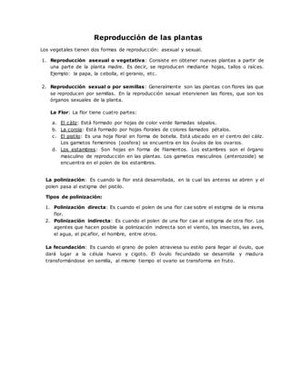 Reproducción de las plantas
Los vegetales tienen dos formas de reproducción: asexual y sexual.
1. Reproducción asexual o vegetativa: Consiste en obtener nuevas plantas a partir de
una parte de la planta madre. Es decir, se reproducen mediante hojas, tallos o raíces.
Ejemplo: la papa, la cebolla, el geranio, etc.
2. Reproducción sexual o por semillas: Generalmente son las plantas con flores las que
se reproducen por semillas. En la reproducción sexual intervienen las flores, que son los
órganos sexuales de la planta.
La Flor: La flor tiene cuatro partes:
a. El cáliz: Está formado por hojas de color verde llamadas sépalos.
b. La corola: Está formado por hojas florales de colores llamados pétalos.
c. El pistilo: Es una hoja floral en forma de botella. Está ubicado en el centro del cáliz.
Los gametos femeninos (oosfera) se encuentra en los óvulos de los ovarios.
d. Los estambres: Son hojas en forma de filamentos. Los estambres son el órgano
masculino de reproducción en las plantas. Los gametos masculinos (anterozoide) se
encuentra en el polen de los estambres.
La polinización: Es cuando la flor está desarrollada, en la cual las anteras se abren y el
polen pasa al estigma del pistilo.
Tipos de polinización:
1. Polinización directa: Es cuando el polen de una flor cae sobre el estigma de la misma
flor.
2. Polinización indirecta: Es cuando el polen de una flor cae al estigma de otra flor. Los
agentes que hacen posible la polinización indirecta son el viento, los insectos, las aves,
el agua, el picaflor, el hombre, entre otros.
La fecundación: Es cuando el grano de polen atraviesa su estilo para llegar al óvulo, que
dará lugar a la célula huevo y cigoto. El óvulo fecundado se desarrolla y madura
transformándose en semilla, al mismo tiempo el ovario se transforma en fruto.
 