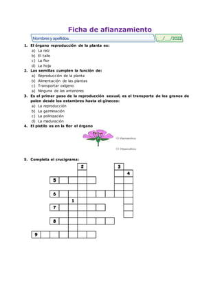 Ficha de afianzamiento
1. El órgano reproducción de la planta es:
a) La raíz
b) El tallo
c) La flor
d) La hoja
2. Las semillas cumplen la función de:
a) Reproducción de la planta
b) Alimentación de las plantas
c) Transportar oxígeno
a) Ninguna de las anteriores
3. Es el primer paso de la reproducción sexual, es el transporte de los granos de
polen desde los estambres hasta el gineceo:
a) La reproducción
b) La germinación
c) La polinización
d) La maduración
4. El pistilo es en la flor el órgano
5. Completa el crucigrama:
 