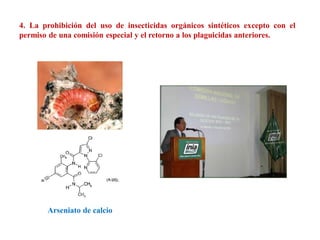 4. La prohibición del uso de insecticidas orgánicos sintéticos excepto con el
permiso de una comisión especial y el retorno a los plaguicidas anteriores.
Arseniato de calcio
 