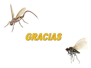 SESIÓN DE APRENDIZAJE N° 1.pdf